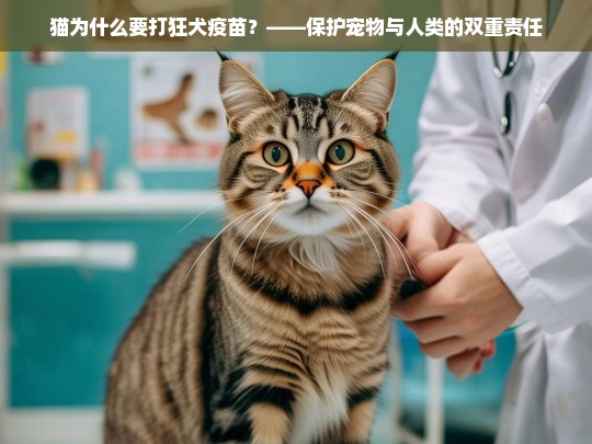 猫为什么要打狂犬疫苗？——保护宠物与人类的双重责任