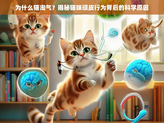 为什么猫淘气？揭秘猫咪顽皮行为背后的科学原因