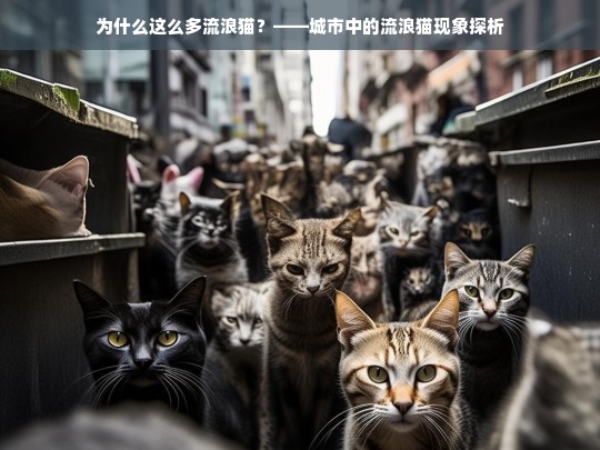 为什么这么多流浪猫？——城市中的流浪猫现象探析