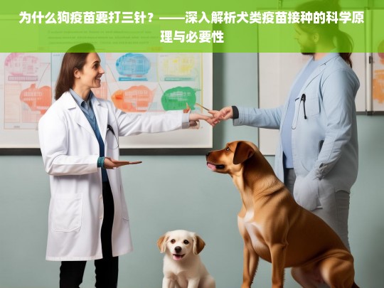 为什么狗疫苗要打三针？——深入解析犬类疫苗接种的科学原理与必要性