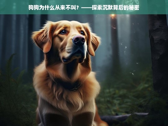 狗狗为什么从来不叫？——探索沉默背后的秘密