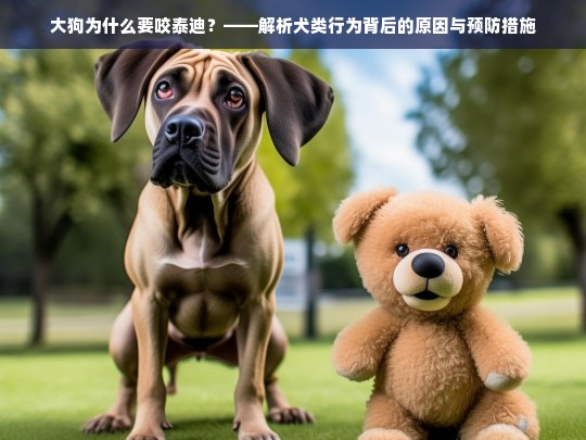 大狗为什么要咬泰迪？——解析犬类行为背后的原因与预防措施