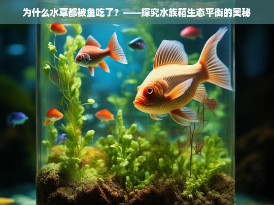 为什么水草都被鱼吃了？——探究水族箱生态平衡的奥秘