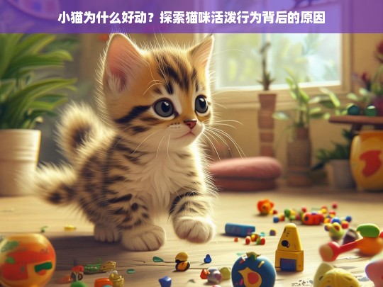 小猫为什么好动？探索猫咪活泼行为背后的原因