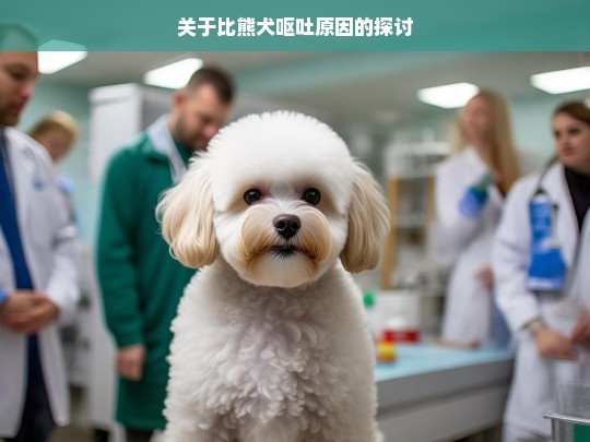 关于比熊犬呕吐原因的探讨