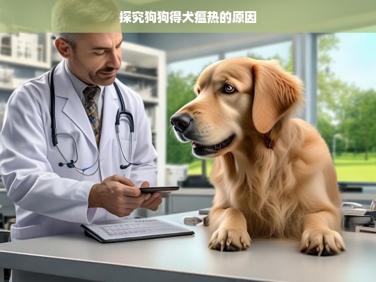 探究狗狗得犬瘟热的原因