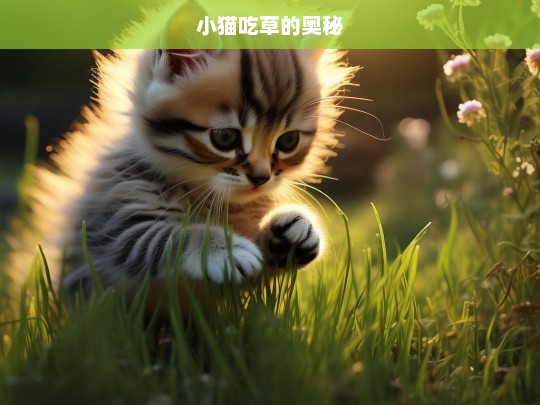 小猫吃草的奥秘